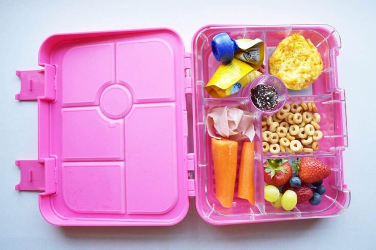 Bento Box Lunch Ideas For Kids (+ Tips For Picky Eaters)